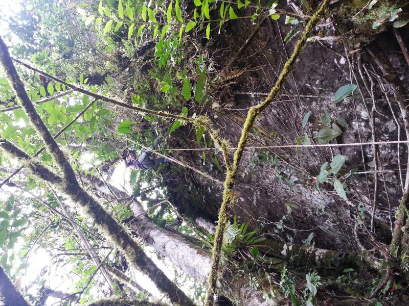 Climbing/ Escalando